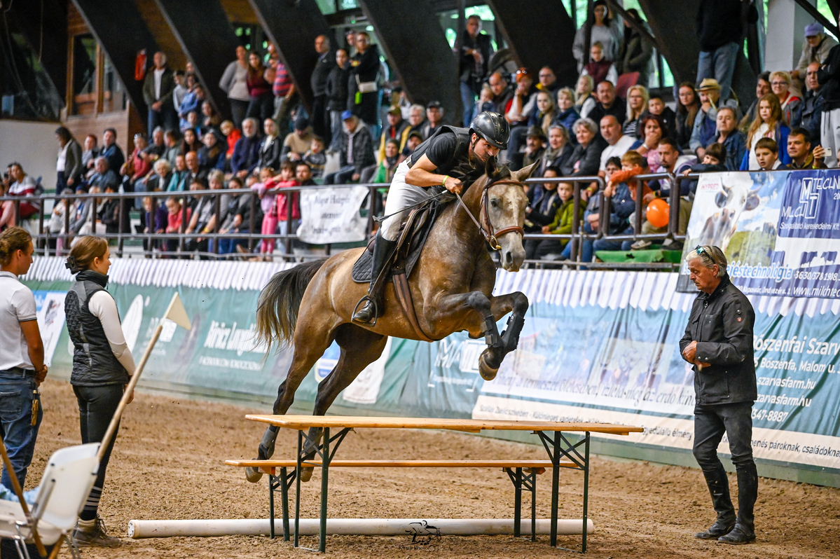 Filou Gyömbér a military bemutatón